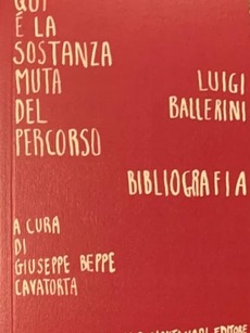 Luigi Ballerini. qui è la sostanza muta del percorso